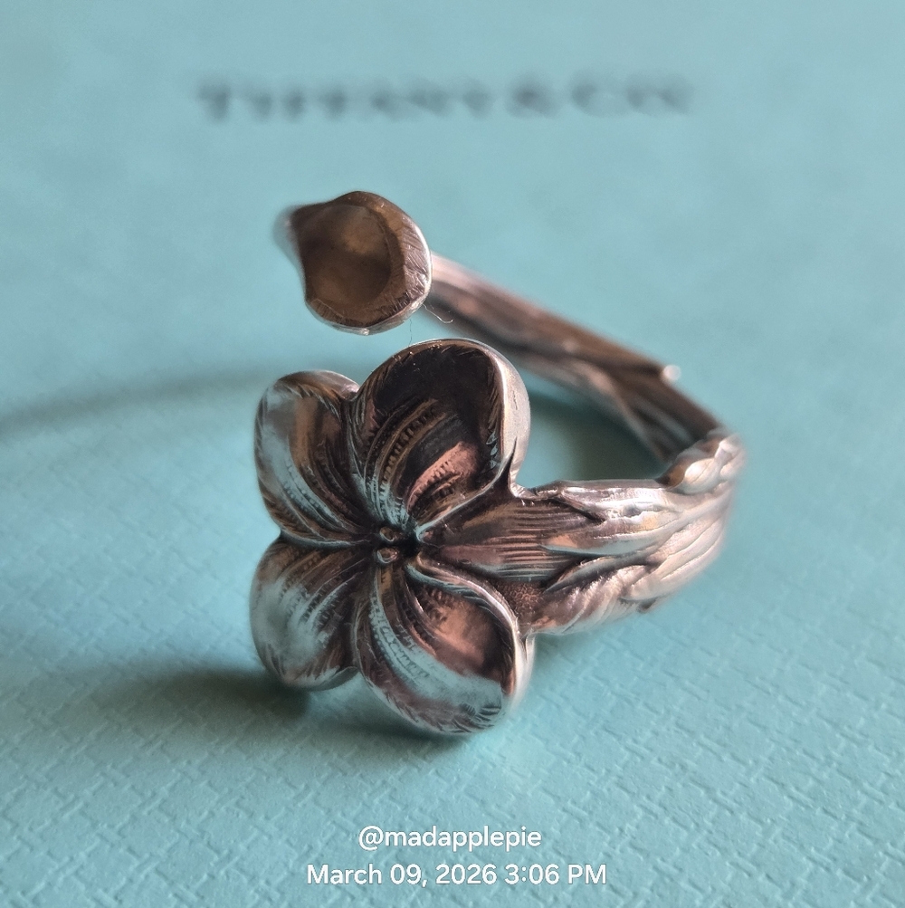 1885 Tiffany & Co. Gentian Spoon Ring Sterling Silver Designer Luxury  #59 - Picture 14 of 15